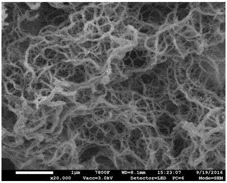 Preparation method of ternary carbide nanobelt