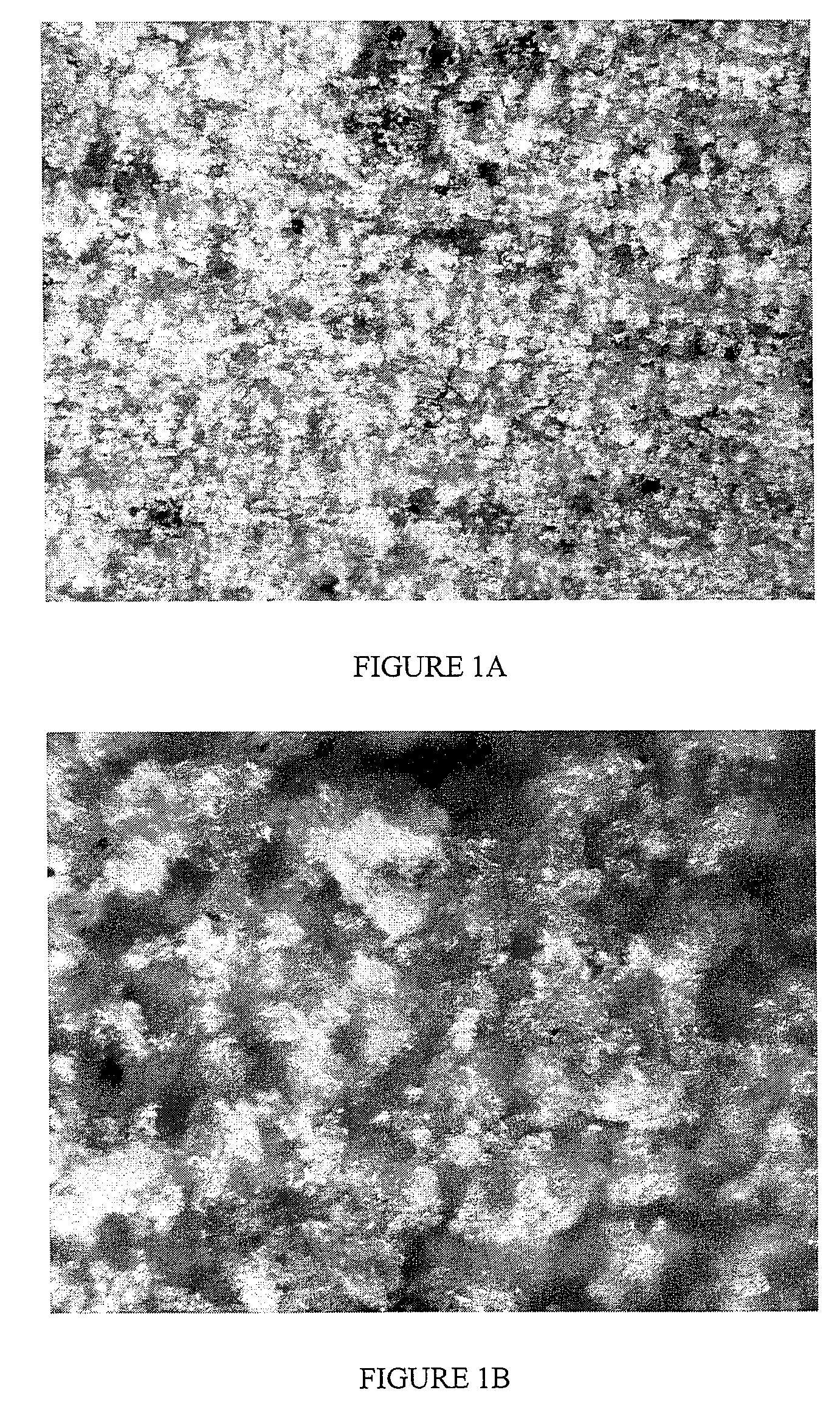 Pumice containing compositions for cementing a well