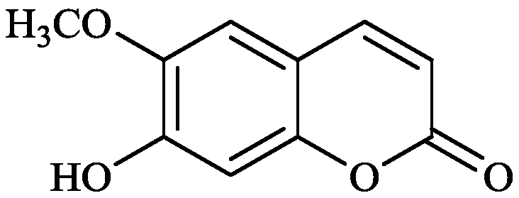 A kind of method for extracting scopolamine from Benzocarpus edulis