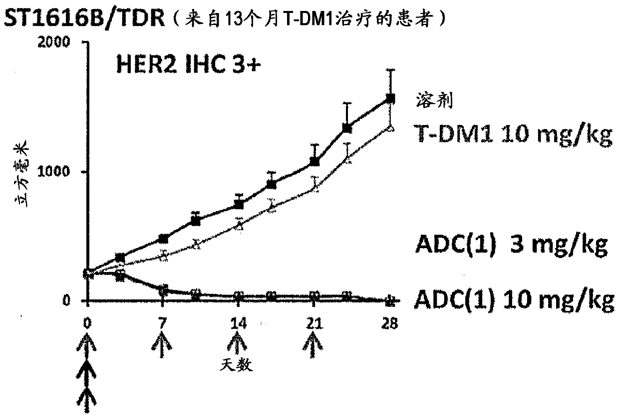 Therapy for drug-resistant cancer by administration of anti-HER2 antibody/drug conjugate