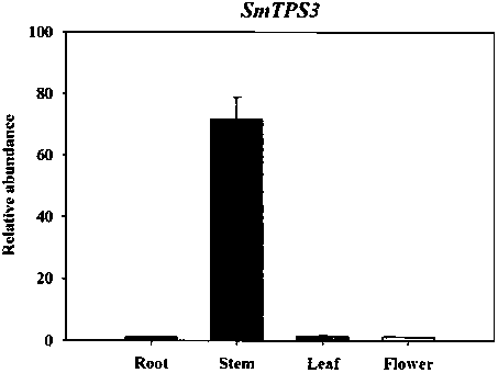Method used for synthesizing plurality of sesquiterpenoid compounds using salviae miltiorrhizae SmTPS3 gene