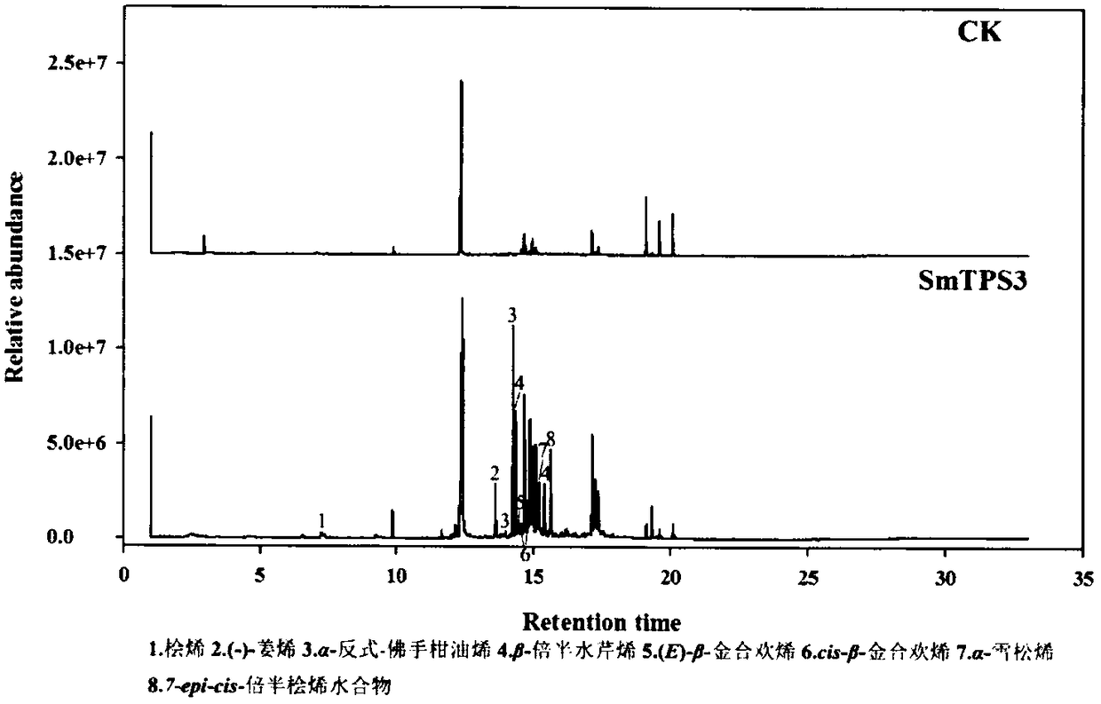 Method used for synthesizing plurality of sesquiterpenoid compounds using salviae miltiorrhizae SmTPS3 gene