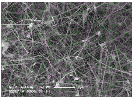 Method for preparing nanometer SnO2 through self-propagation high-temperature synthesizing technology