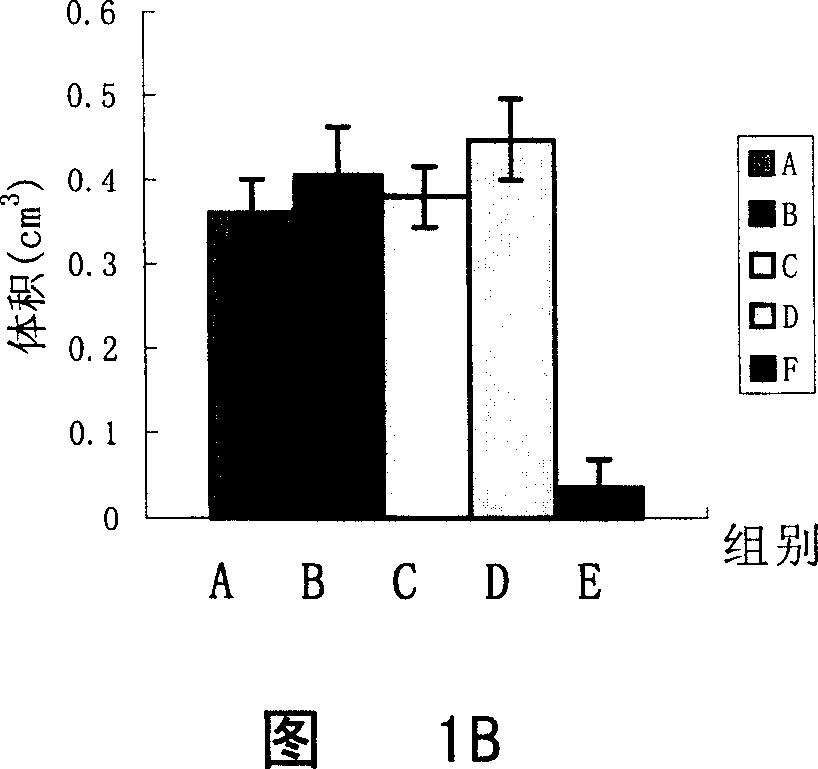 Method for inducing bone marrow substrate stem cell into cartilage