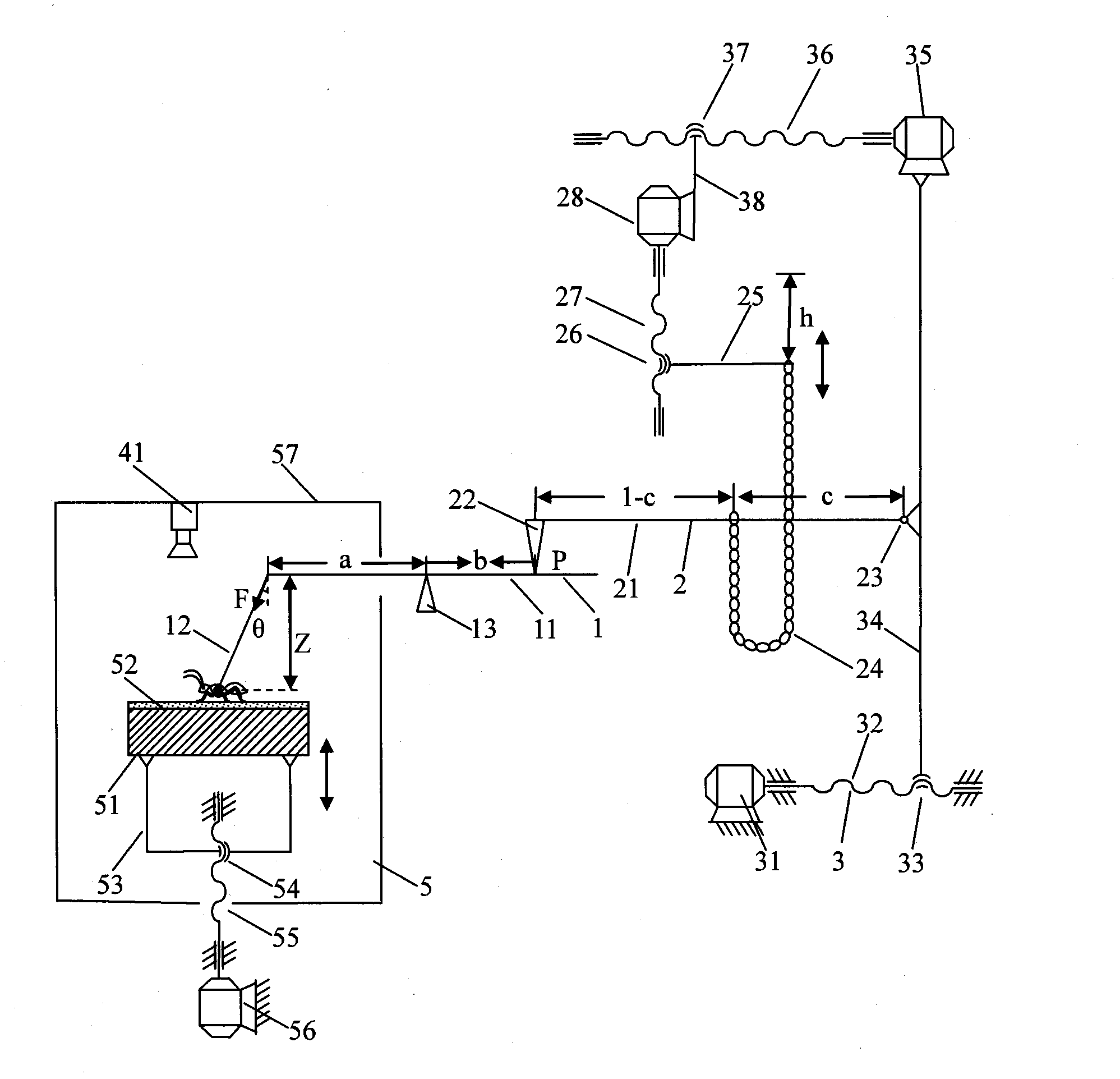 Lever type chain pressurized device and method for measuring climbing force of insect or small animal