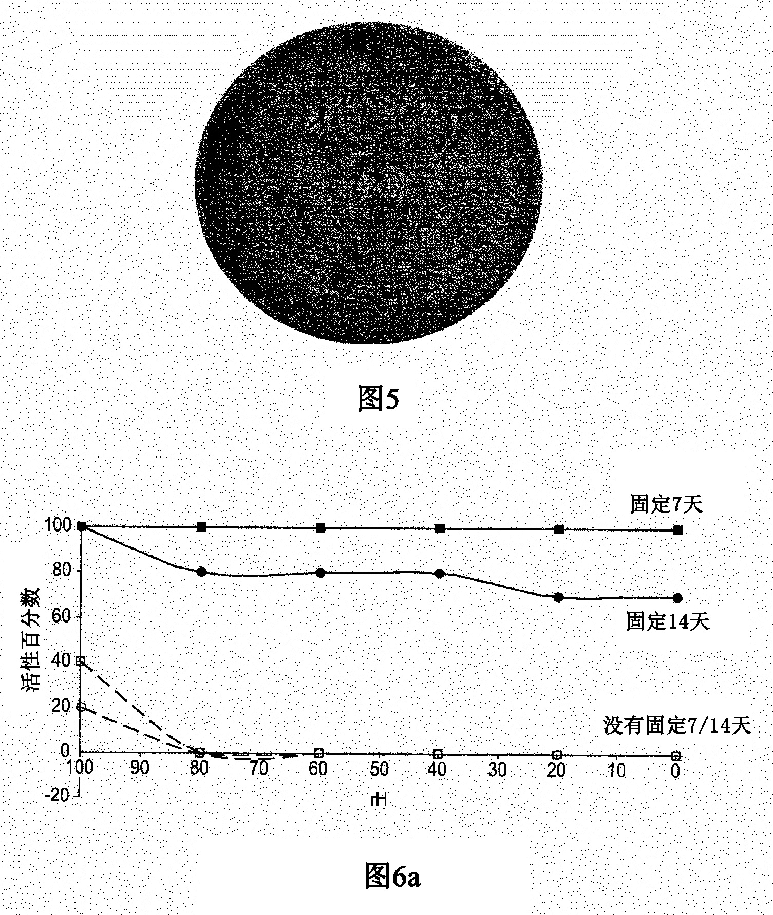 Delivery of viral agents