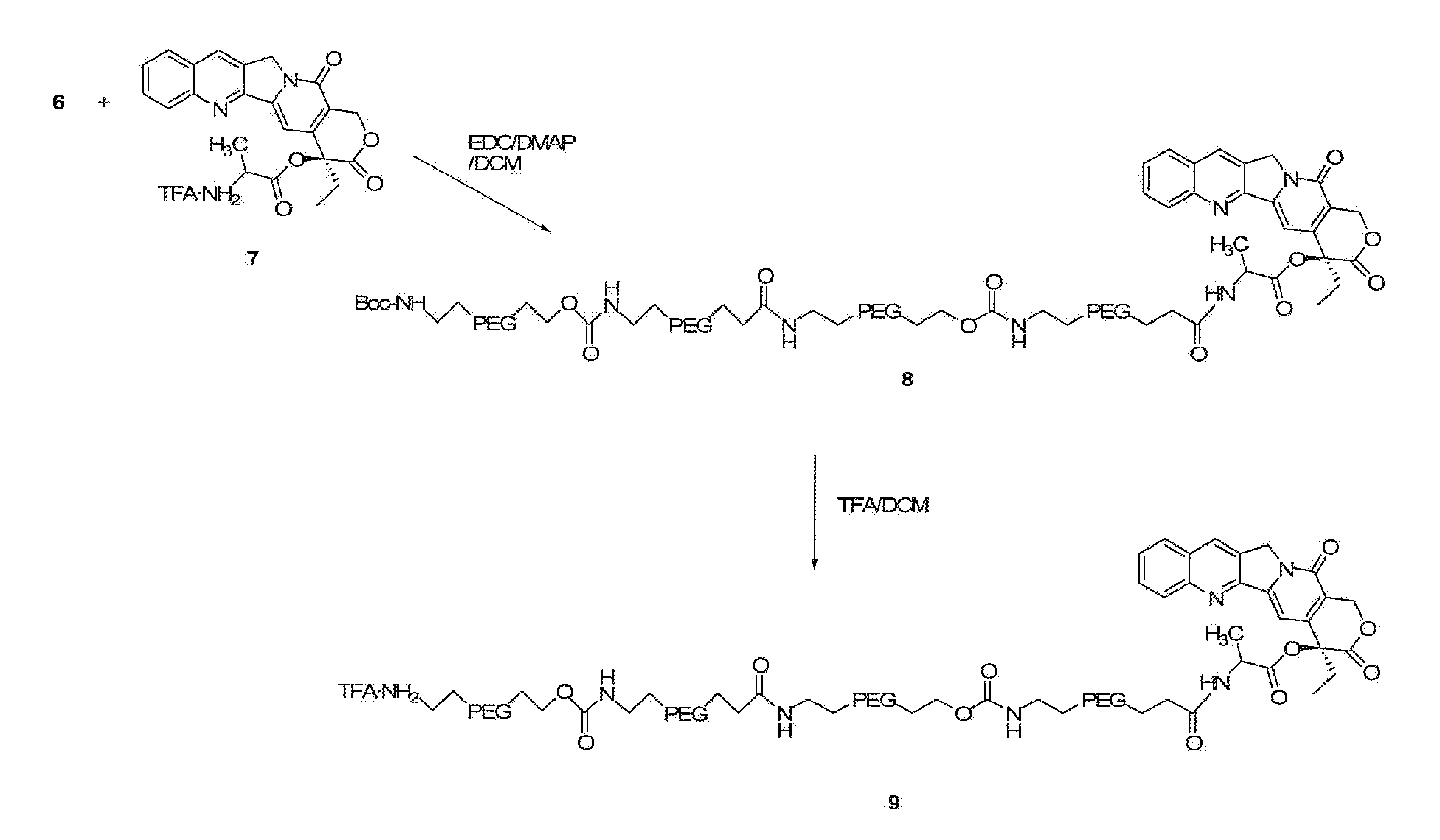 Heterobifunctional Polymeric Bioconjugates
