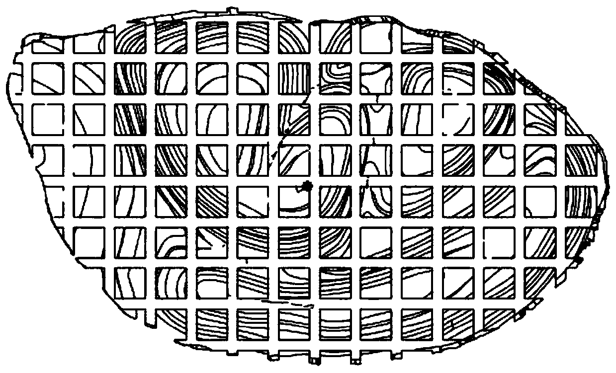 Tissue-engineered auricle-shape composite scaffold and preparation method thereof