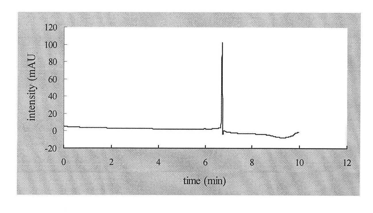 Preparation method of solid-phase extraction column by utilizing salbutamol molecular imprinting