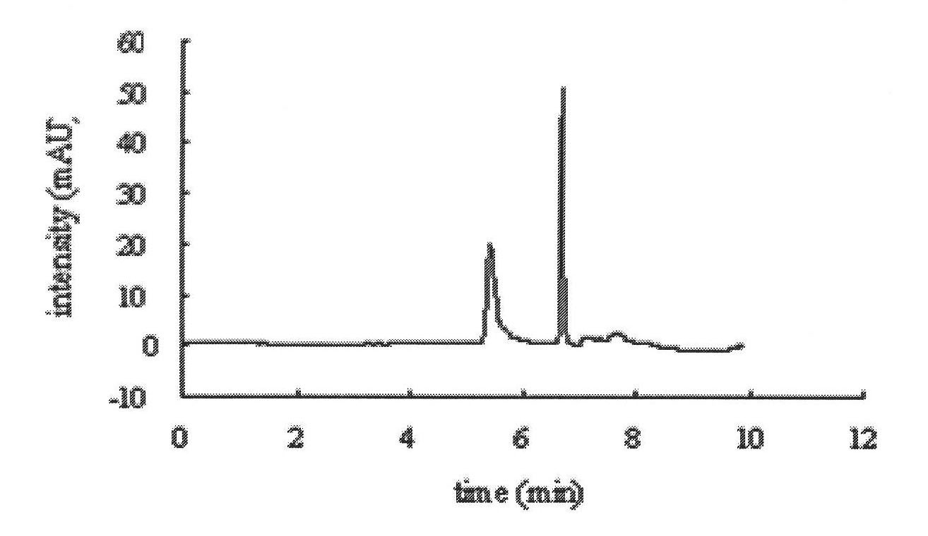 Preparation method of solid-phase extraction column by utilizing salbutamol molecular imprinting