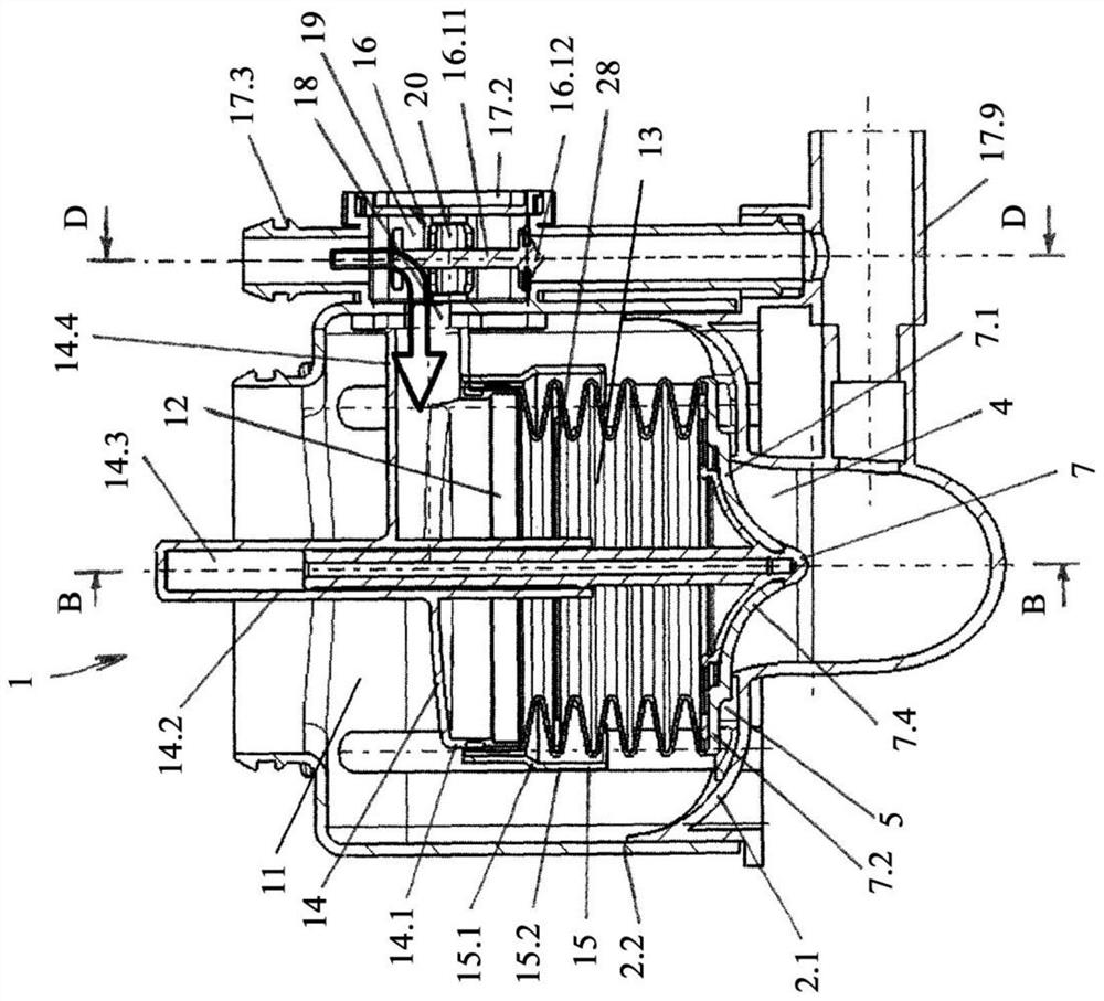 Drain valves for sanitary water tanks