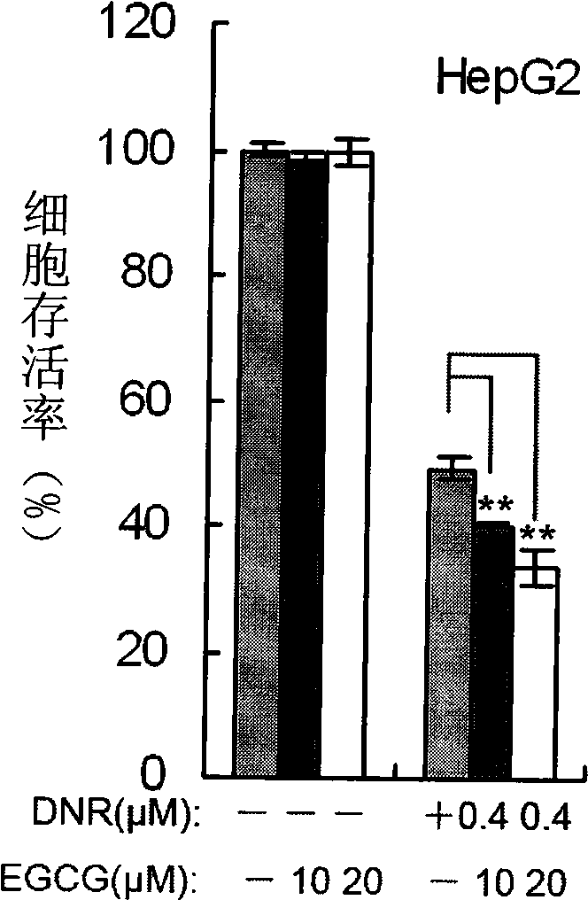 Combination of epigallocatechin-3-gallate and cerubidin and use thereof