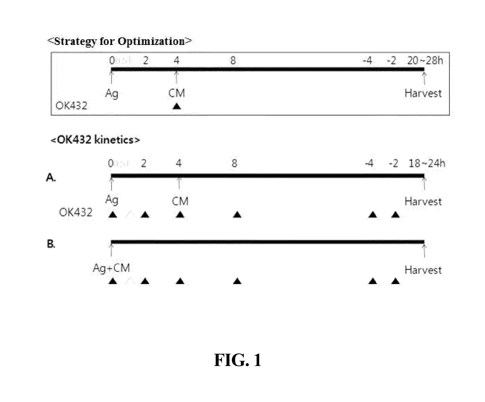 Composition for maturing dendritic  cells, and method for preparing antigen-specific dendritic  cells using same