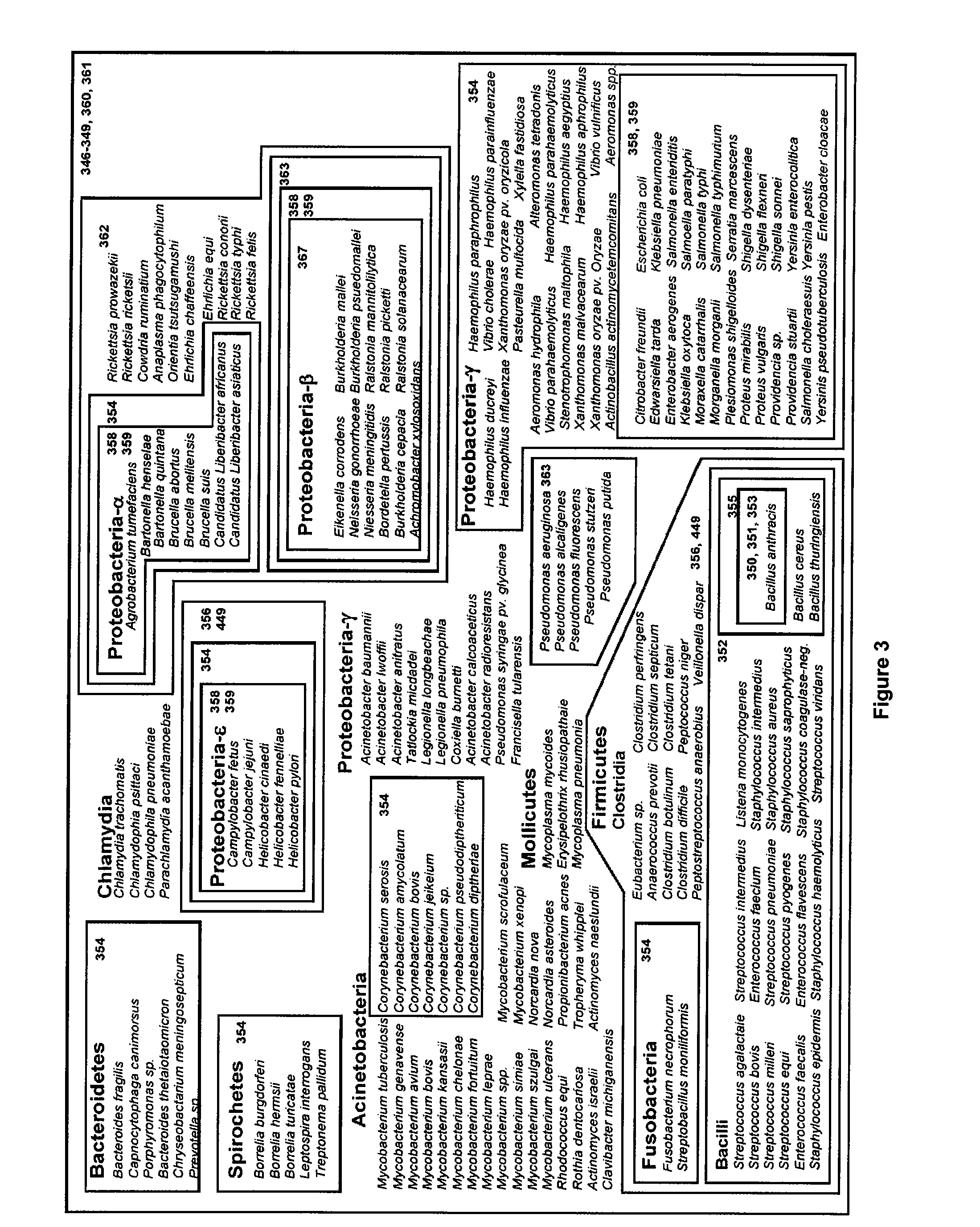 Compositions for use in identification of bacteria