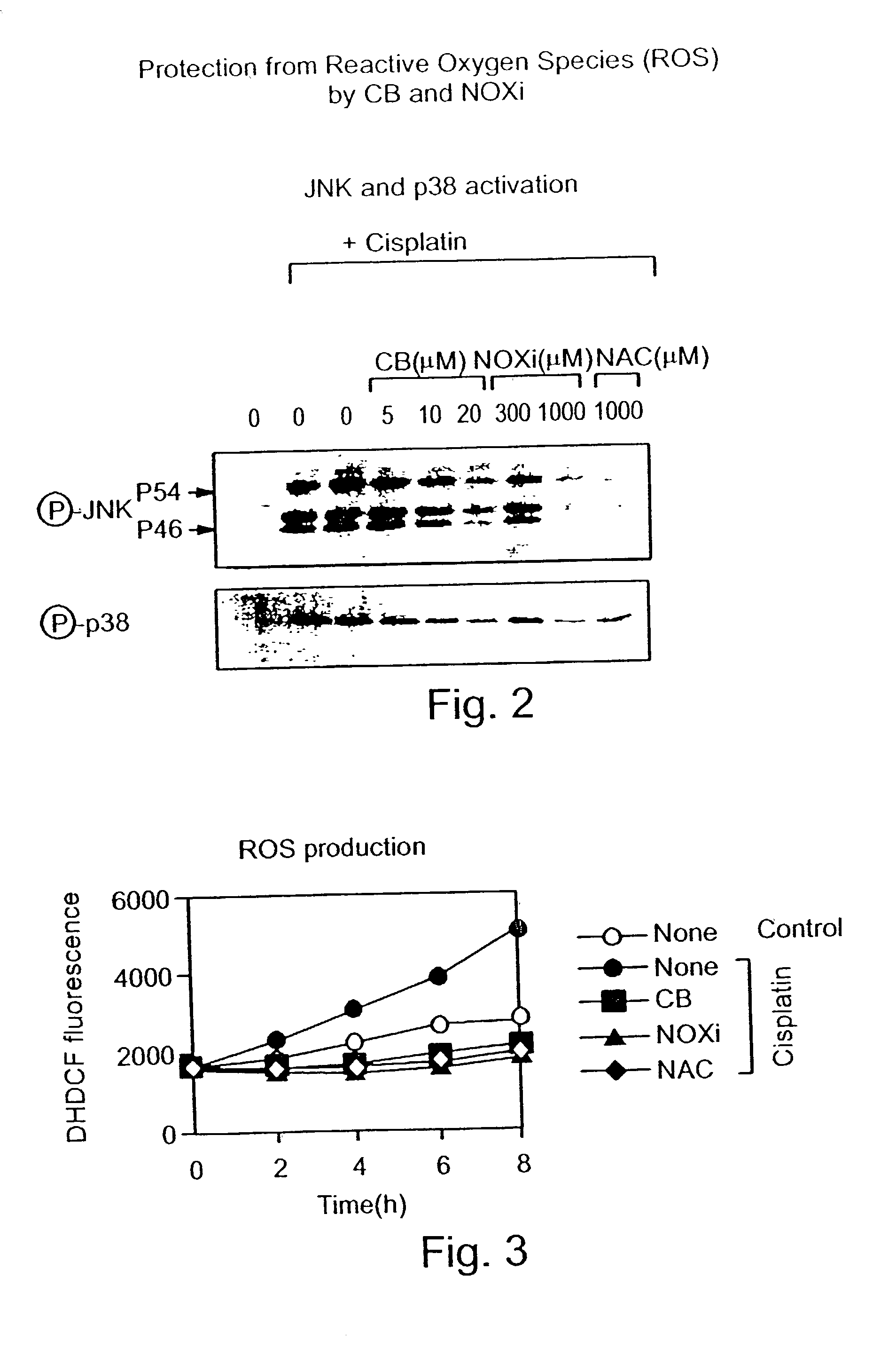 Multi-component antioxidant compounds, pharmaceutical compositions containing same and their use for reducing or preventing oxidative stress