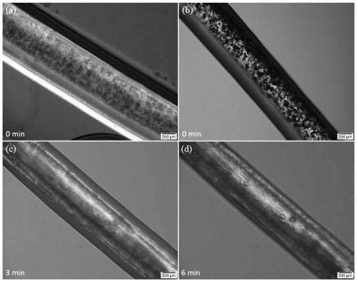 A kind of flexible conductive fiber with core-sheath structure and preparation method thereof