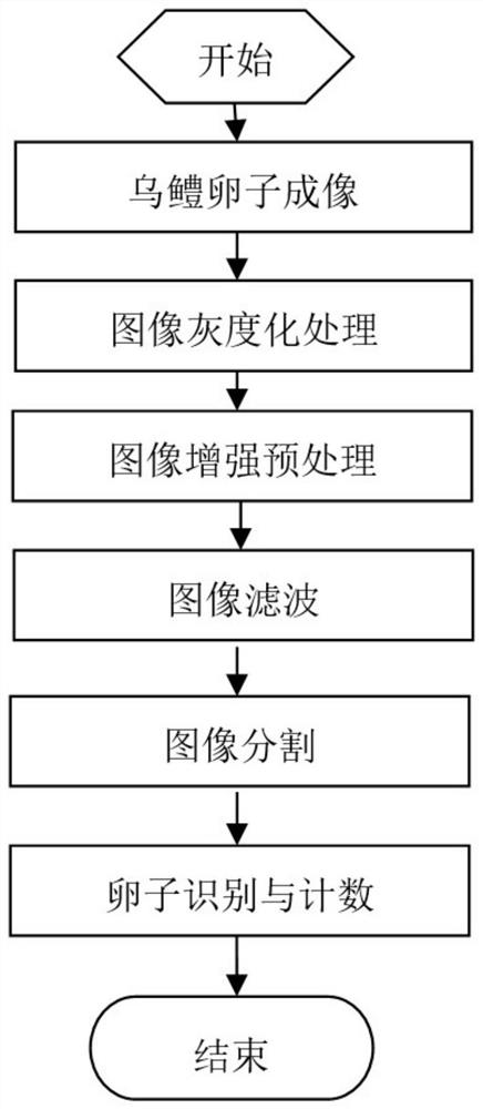 Snakehead egg counting method based on image processing