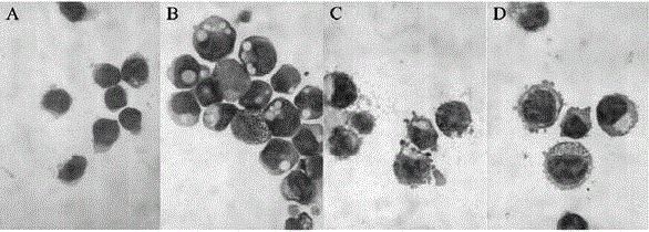 Method for inducing embryonic stem cells to be differentiated into erythroid cells in vitro