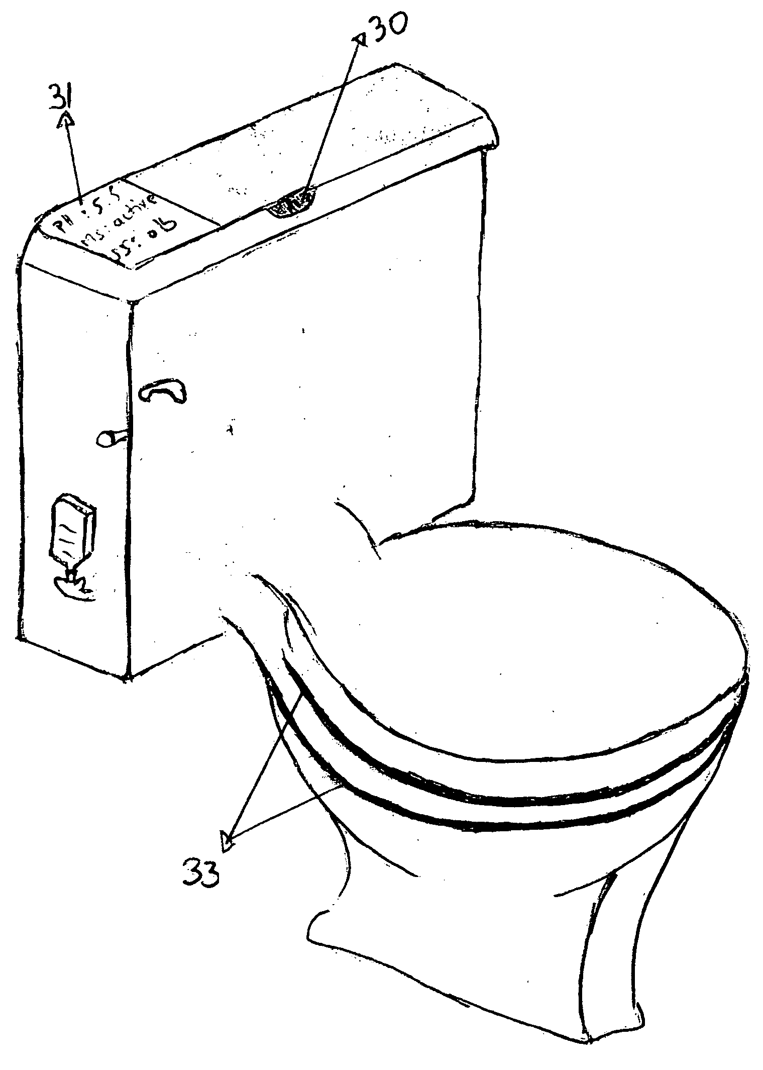 Self-cleaning toilet with an optional self flushing system