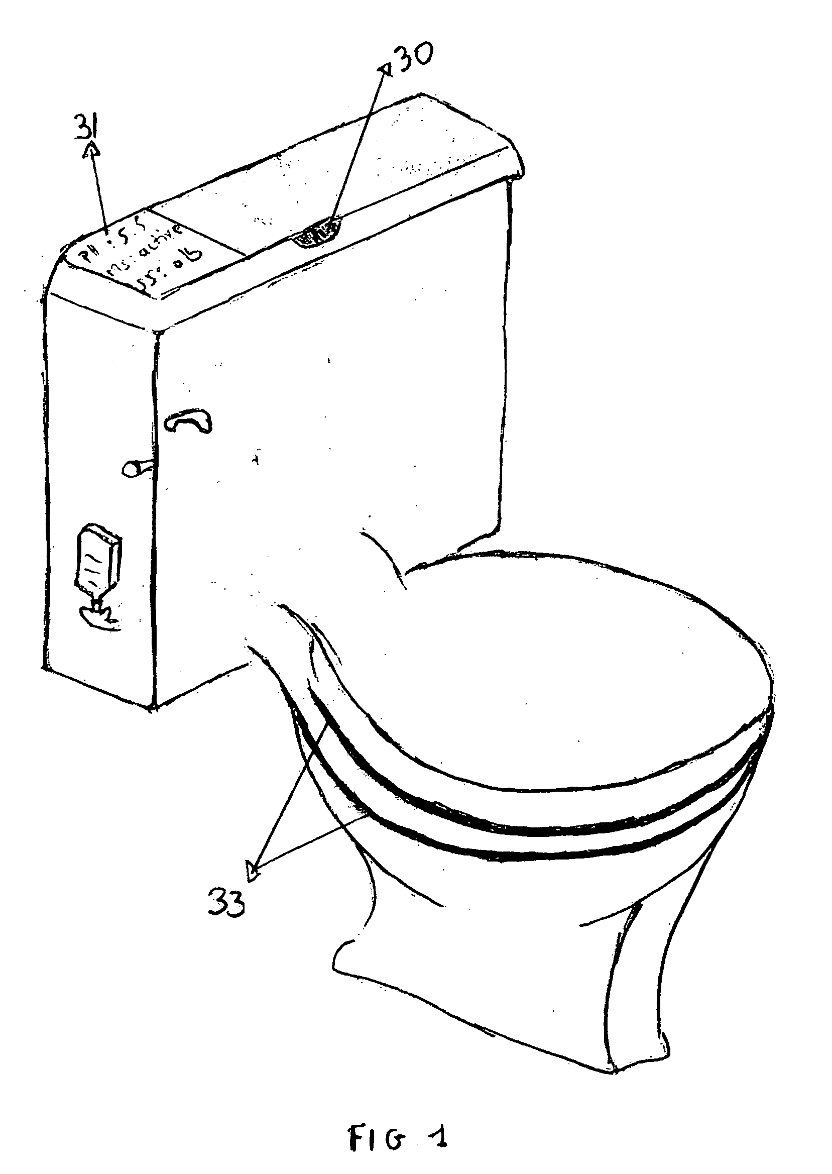 Self-cleaning toilet with an optional self flushing system