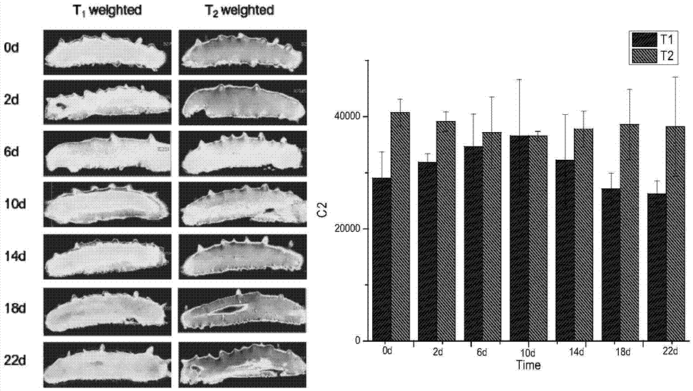 Method for detecting texture quality by low field nuclear magnetic resonance in sea cucumber salting process