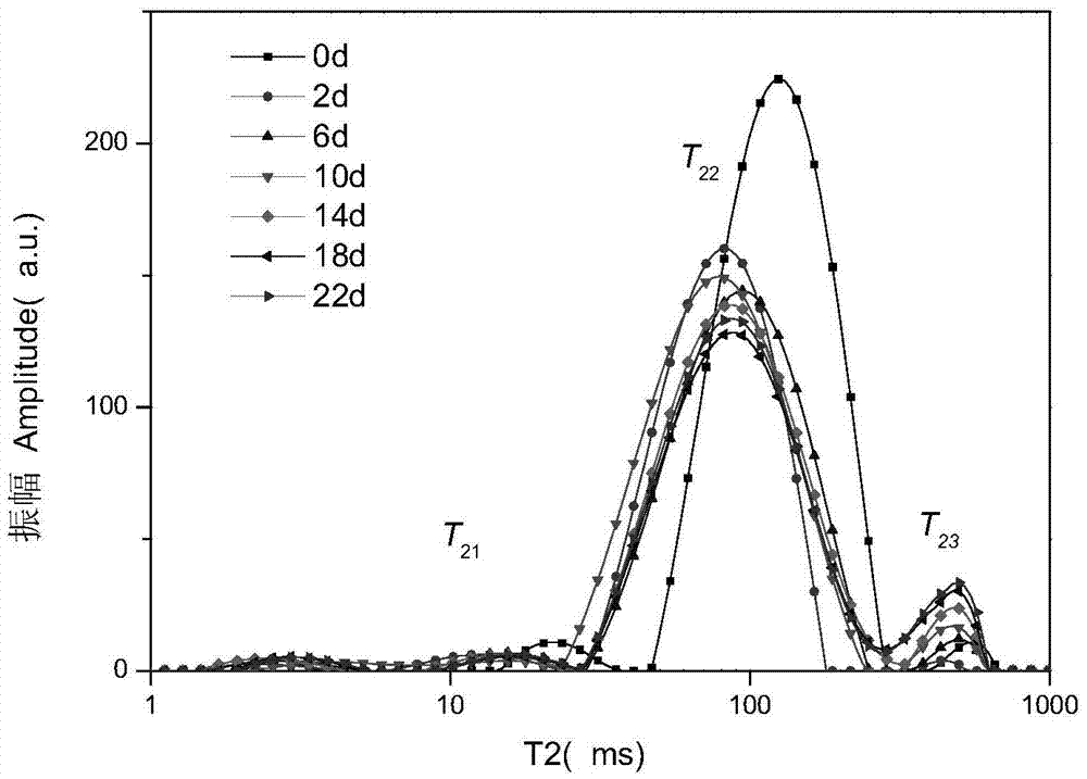 Method for detecting texture quality by low field nuclear magnetic resonance in sea cucumber salting process