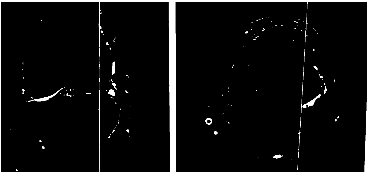 Biological combined preparation for cartilage repair and application of biological combined preparation