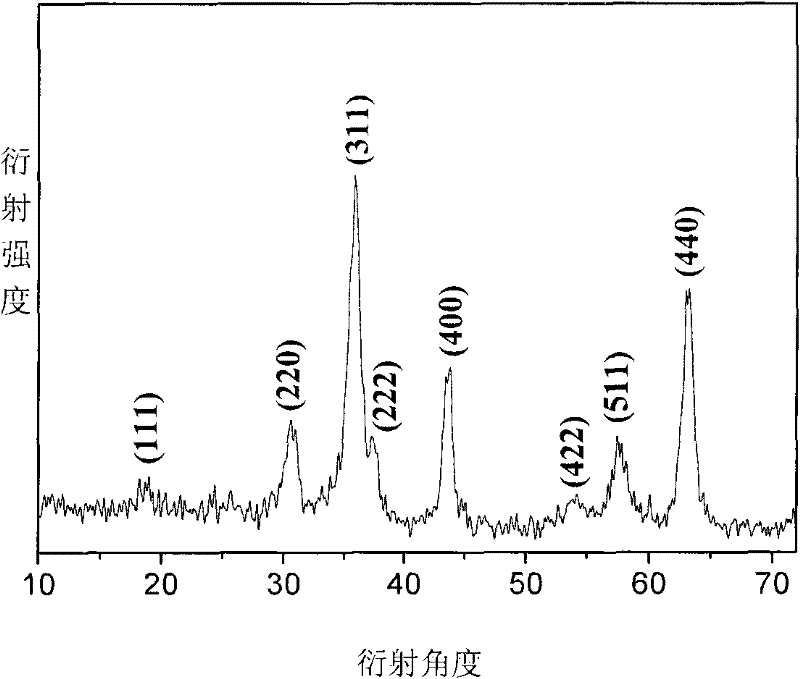 Homodisperse ferrite magnetic manoparticles and preparation method thereof