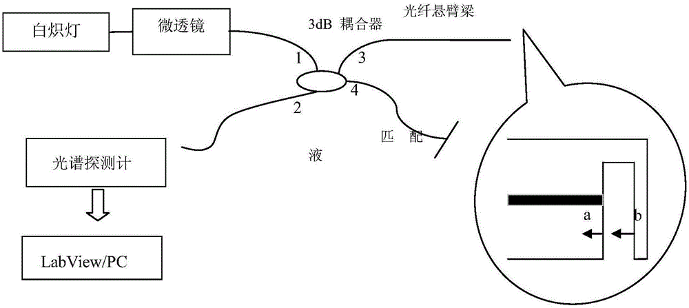 Optical fiber cantilever beam sensor and detection method for food pathogenic bacteria