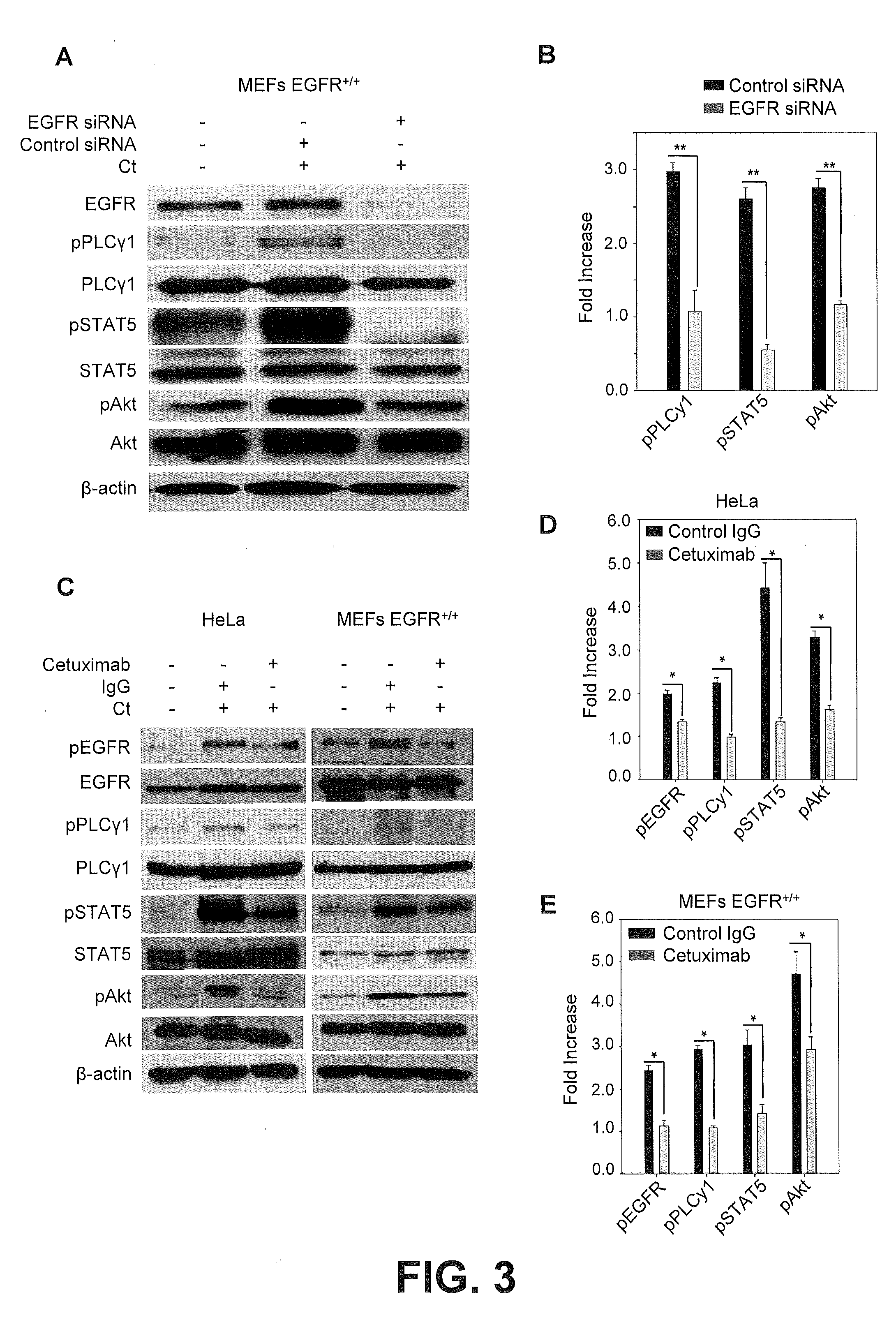 Methods and Compositions for Treatment of Chlamydial Infection and Related Diseases and Disorders