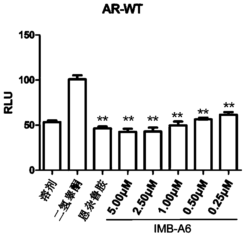 Use of imb-a6 as an androgen receptor antagonist
