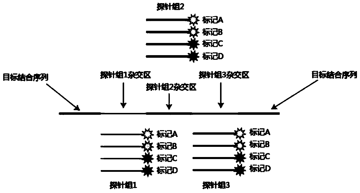 In-situ multiplex nucleic acid detection method