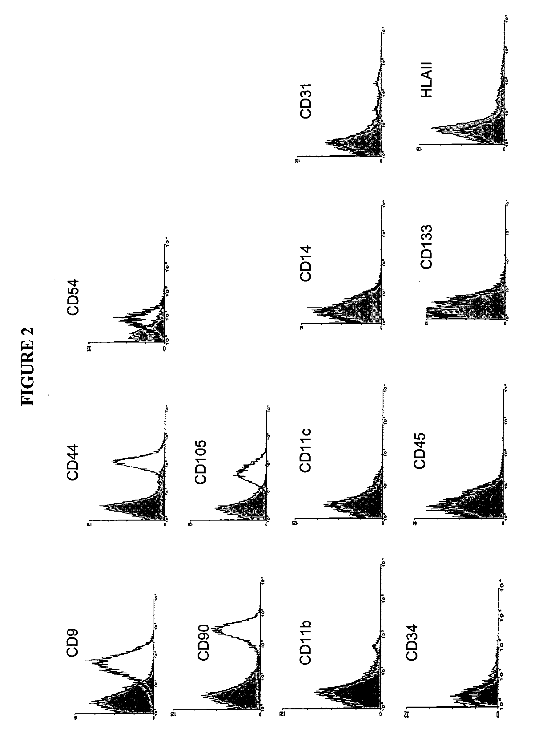 Cell Population Having Immunoregulatory Activity, Method for Isolation and Uses