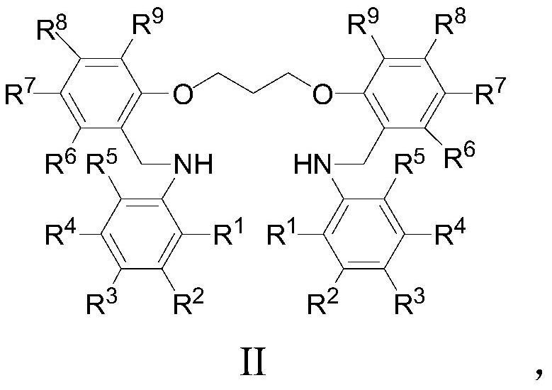 Arylamino ether metal complex as well as preparation method and application thereof