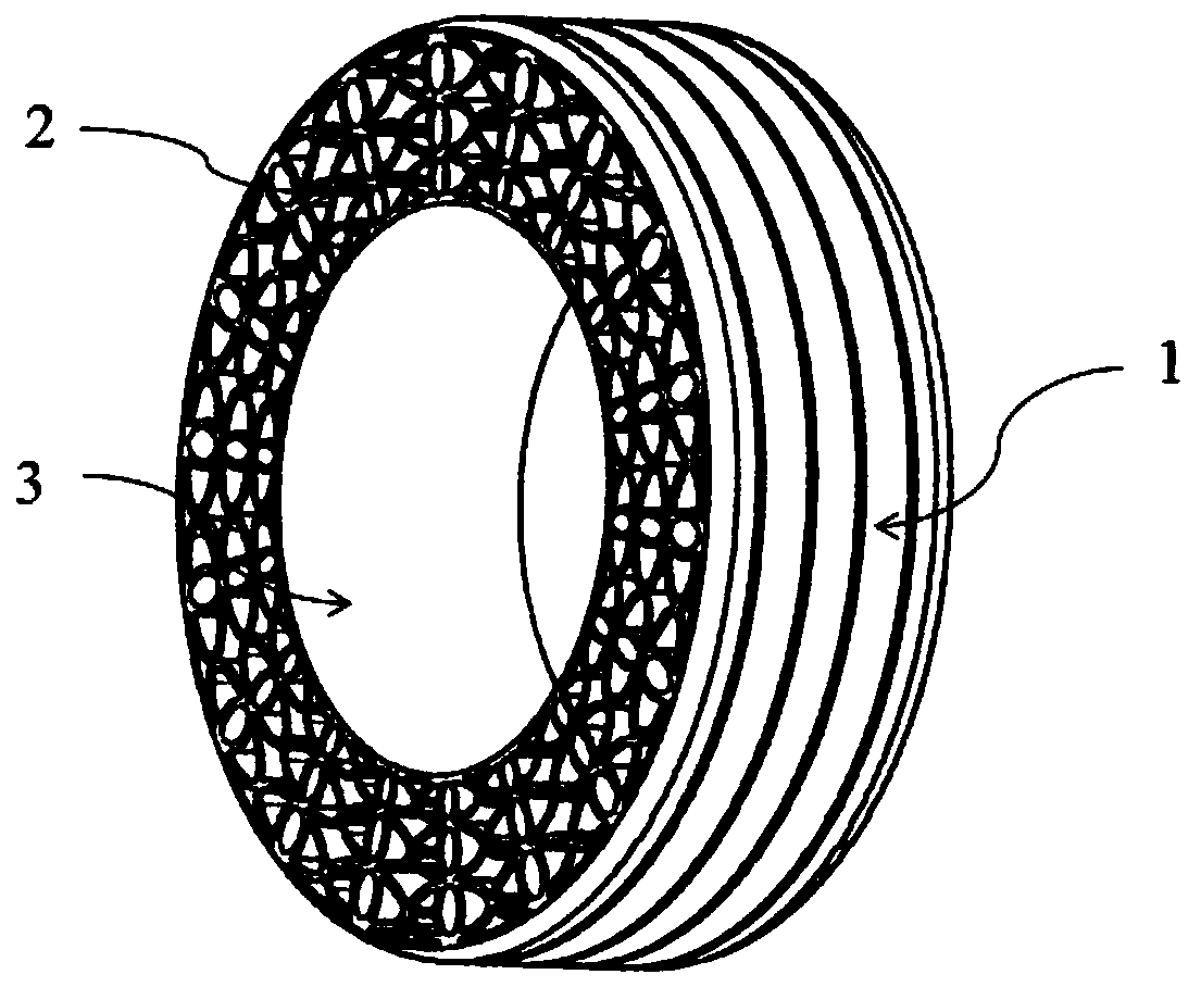 Non-pneumatic tire of elliptical overall bearing body structure