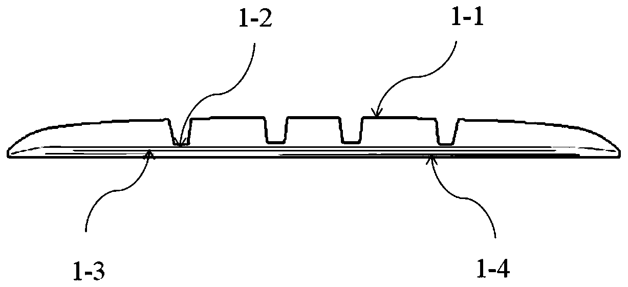 Non-pneumatic tire of elliptical overall bearing body structure