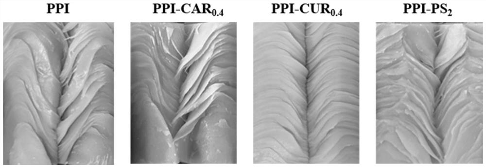 Method for regulating and controlling structural characteristics and fiber structure of plant protein in high-moisture extrusion process