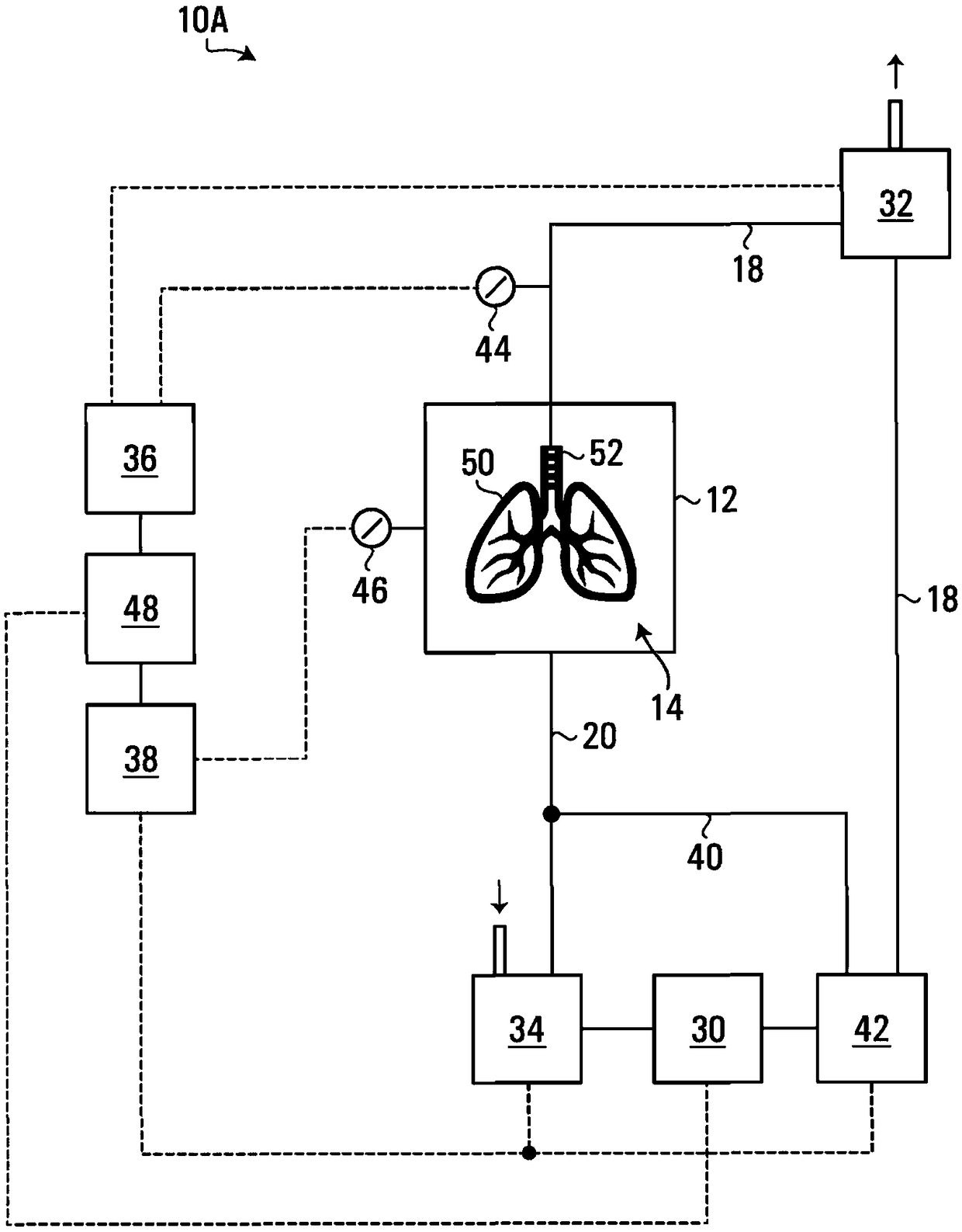 Apparatus and method for ex vivo lung ventilation with a varying exterior pressure