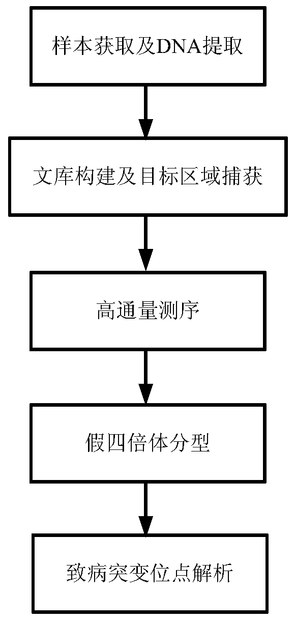 Device for detecting gene mutation and kit for genotyping pregnant women and fetuses