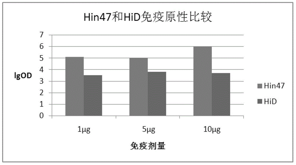 Hi (Haemophilus influenza) fusion protein as well as construction method and application thereof