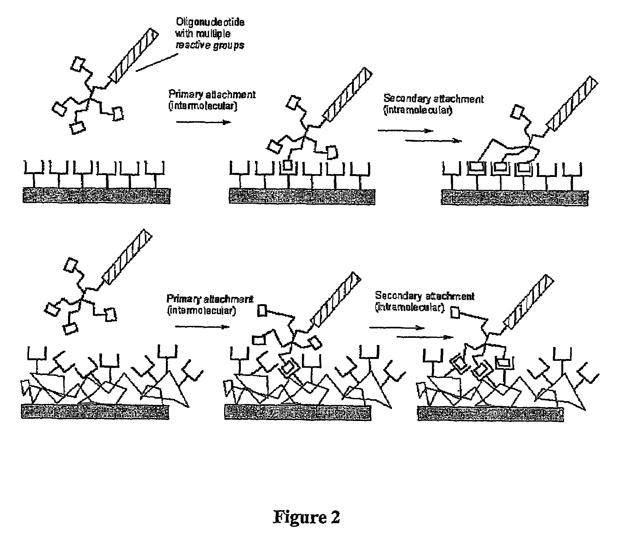 Biomolecules having multiple attachment moieties for binding to a substrate surface
