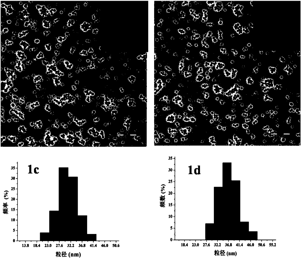 Method for preparing rare earth fluorescent silicon dioxide nanoparticles by microwave heating technology