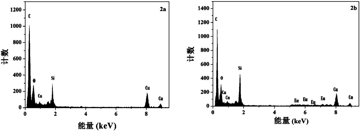Method for preparing rare earth fluorescent silicon dioxide nanoparticles by microwave heating technology