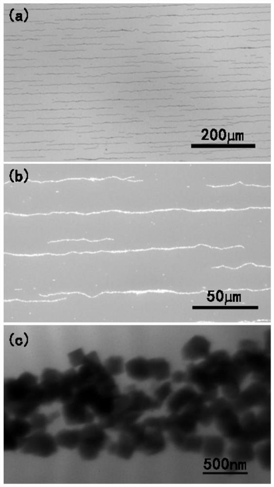 A kind of anisotropic magnetic polymer composite film material and its preparation method