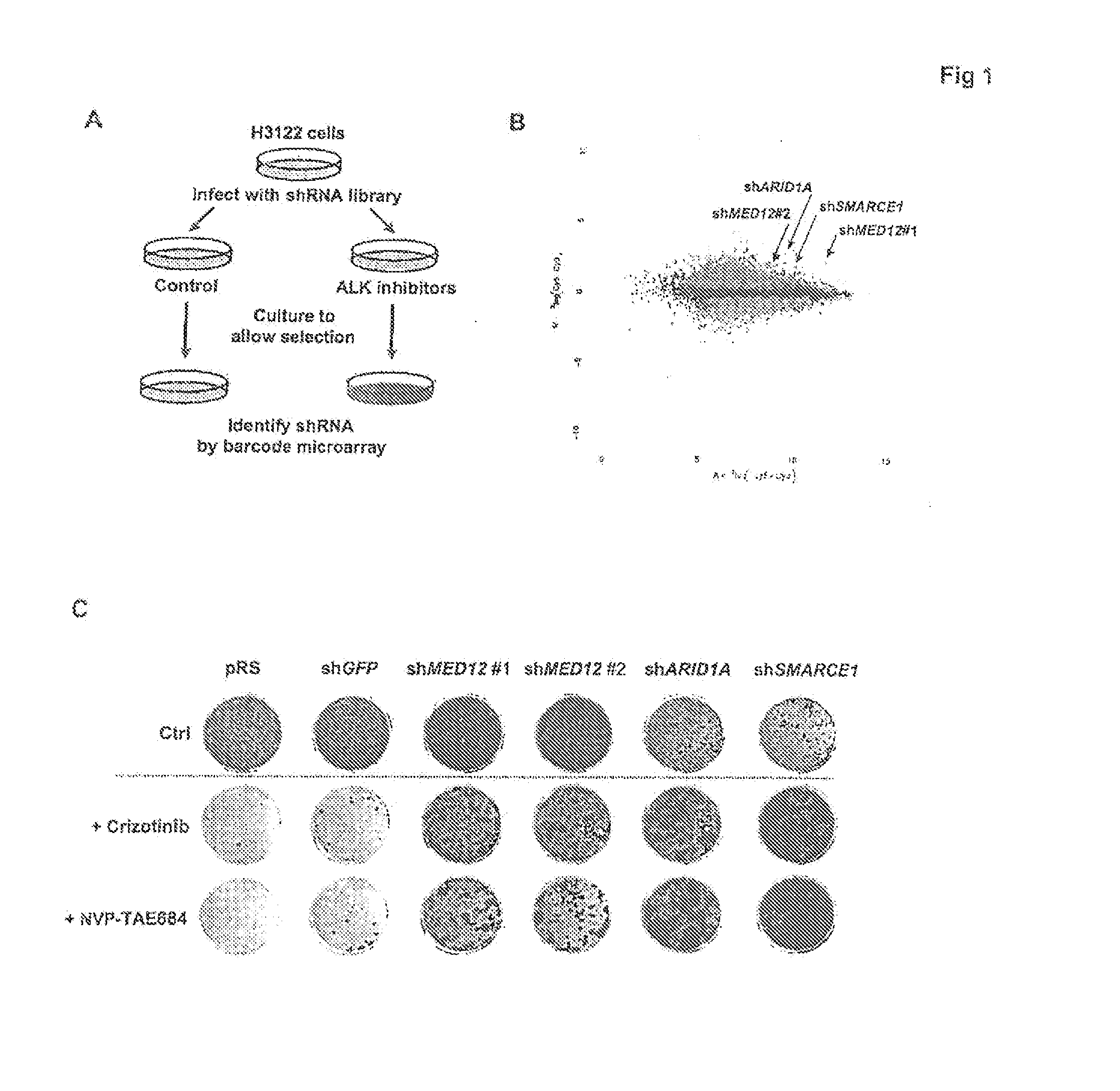 Methods and compositions for predicting resistance to anticancer treatment