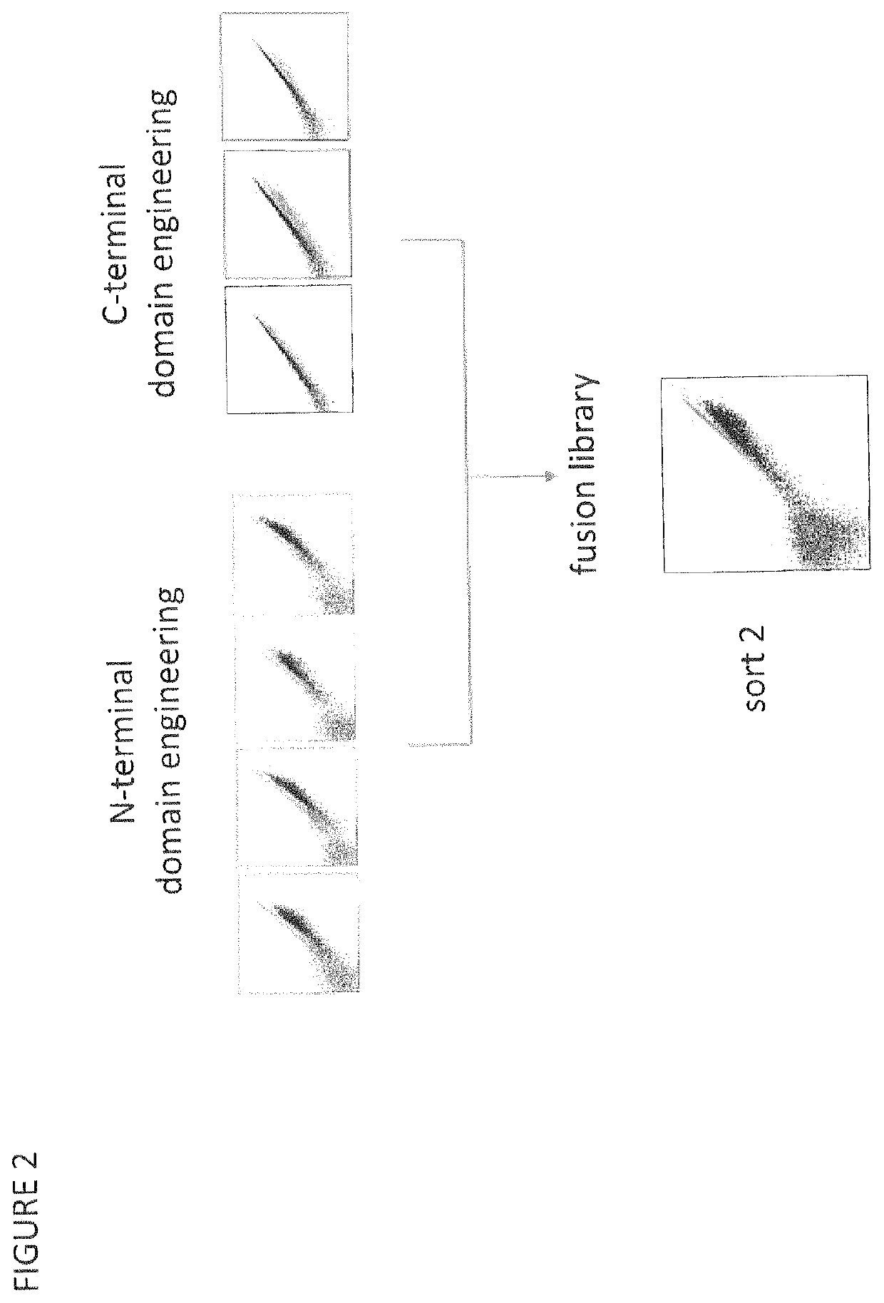 CBLB endonuclease variants, compositions, and methods of use