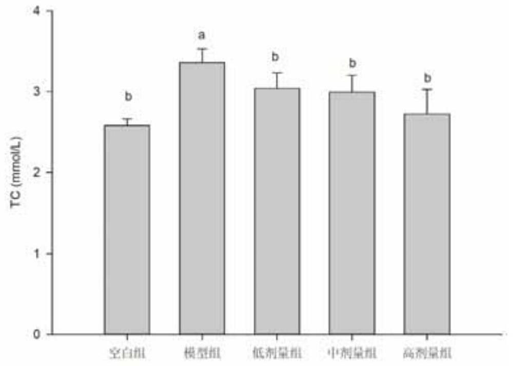 Method for separating protein from sphacelotheca reiliana and application thereof