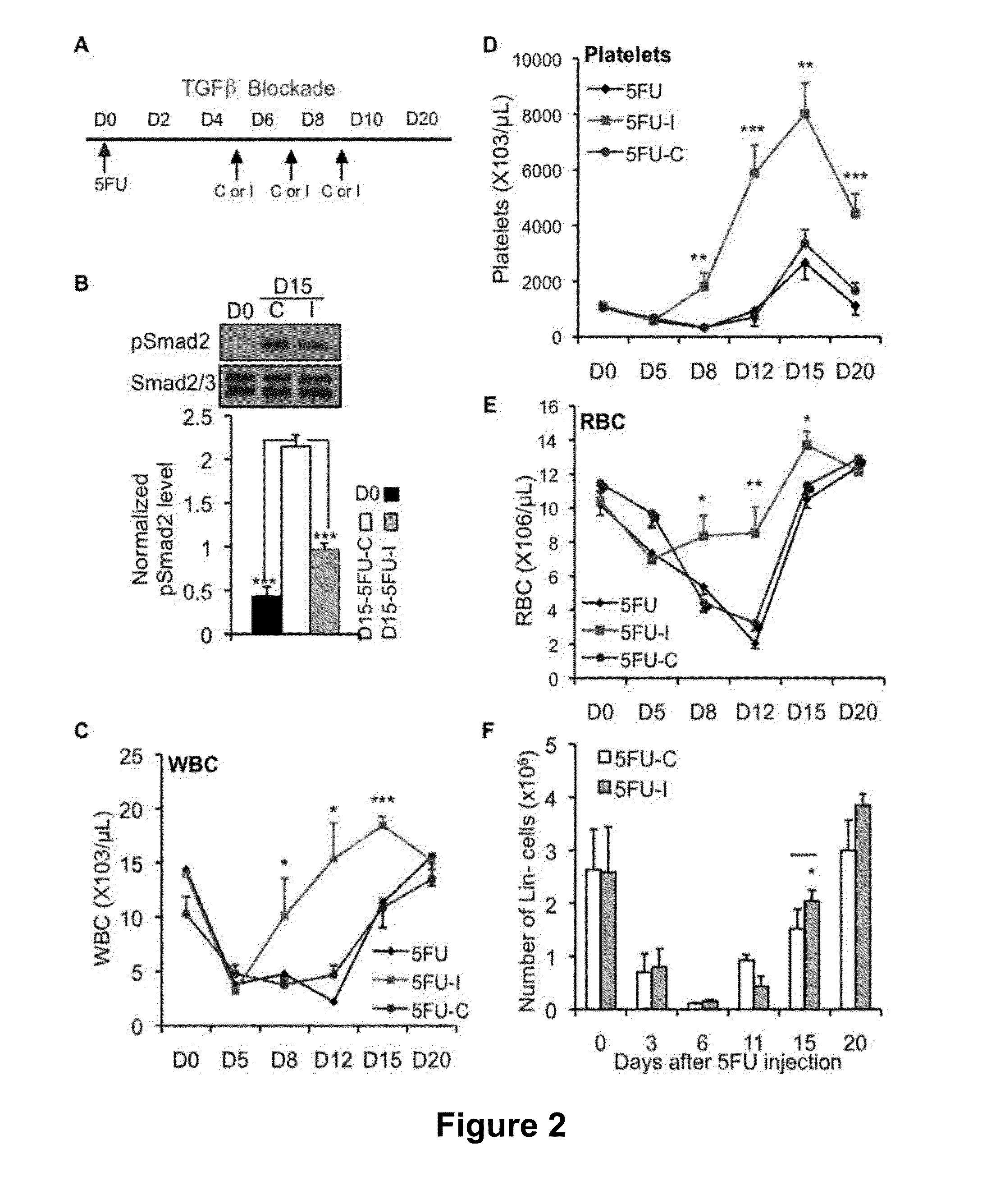 Methods for stimulating hematopoietic recovery by inhibiting TGF beta signaling