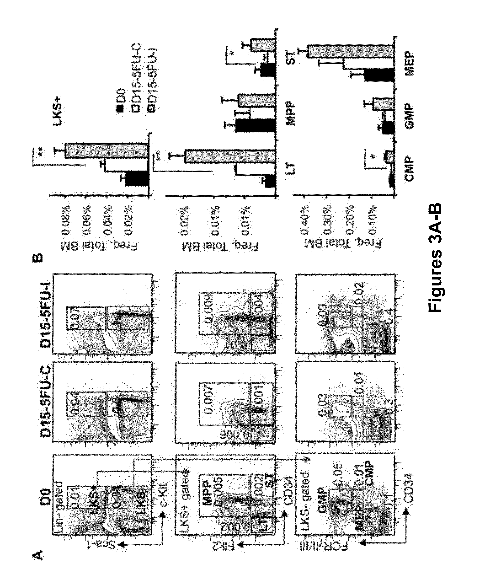 Methods for stimulating hematopoietic recovery by inhibiting TGF beta signaling