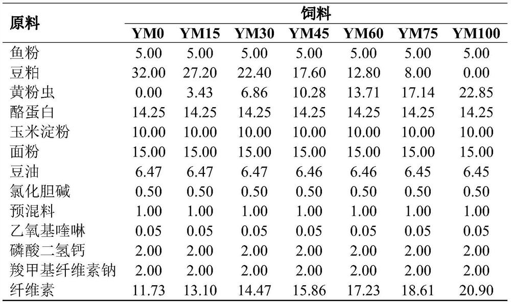 Feed for improving body color of cyprinus carpio